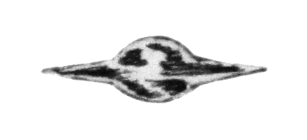 Test Image transparent bg